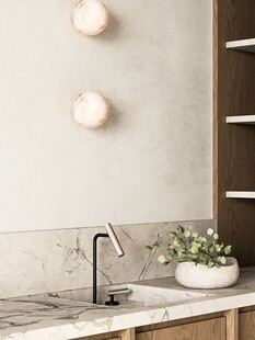 骨骼线胡桃木复古中式风格柜子门