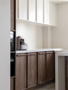 骨骼线胡桃木复古中式风格柜子门