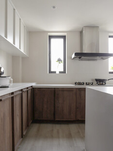 骨骼线胡桃木复古中式风格柜子门