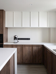 骨骼线胡桃木复古中式风格柜子门