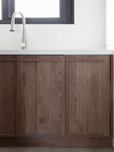 骨骼线胡桃木复古中式风格柜子门