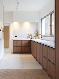 骨骼线胡桃木复古中式风格柜子门