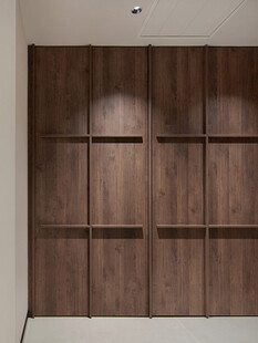 骨骼线胡桃木复古中式风格柜子门