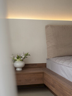 骨骼线胡桃木复古中式风格柜子门