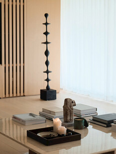 骨骼线胡桃木复古中式风格柜子门