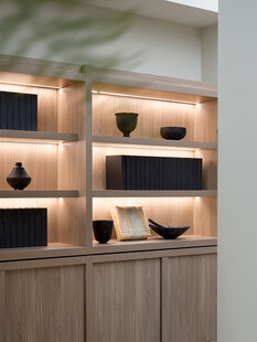 骨骼线胡桃木复古中式风格柜子门