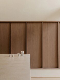 骨骼线胡桃木复古中式风格柜子门