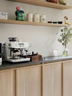 骨骼线胡桃木复古中式风格柜子门