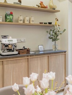 骨骼线胡桃木复古中式风格柜子门