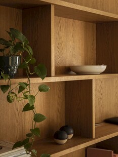 骨骼线胡桃木复古中式风格柜子门