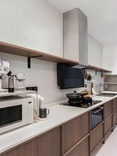 骨骼线胡桃木复古中式风格柜子门