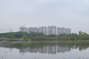 楼盘