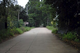 乡村道路
