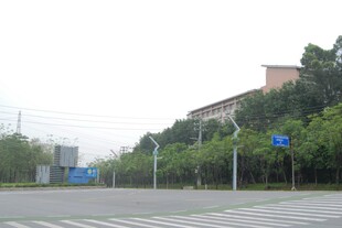 园区道路