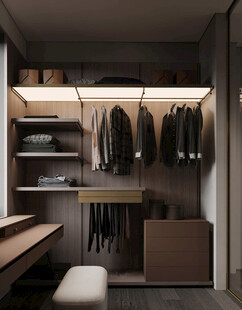 衣帽间卧室柜子新中式简约效果图