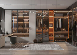 衣帽间卧室柜子新中式简约效果图