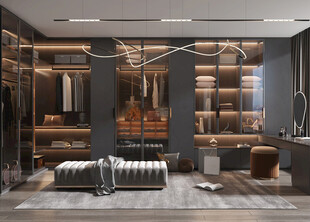 衣帽间卧室柜子新中式简约效果图