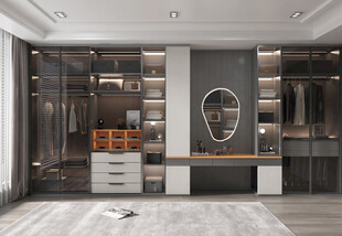 衣帽间卧室柜子新中式简约效果图