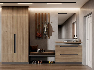 入户大门鞋柜衣柜家玄关装修定制