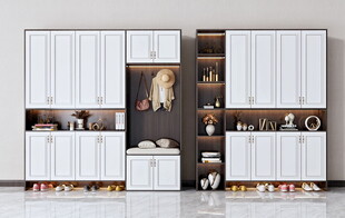 入户大门鞋柜衣柜家玄关装修定制