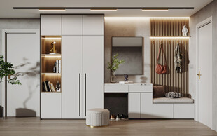 入户大门鞋柜衣柜家玄关装修定制