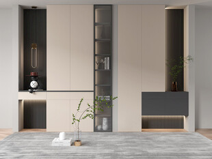 入户大门鞋柜衣柜家玄关装修定制