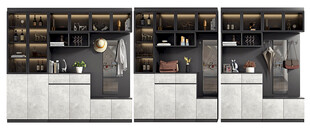 入户大门鞋柜衣柜家玄关装修定制