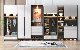 入户大门鞋柜衣柜家玄关装修定制