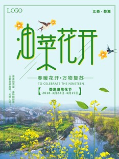 油菜花海报