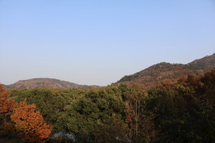大山