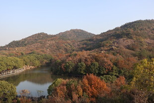 大山