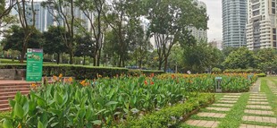  吉隆坡城中城公园一角
