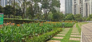  吉隆坡城中城公园一角