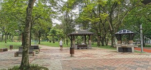  吉隆坡城中城公园一角