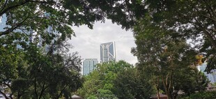  吉隆坡城中城公园一角