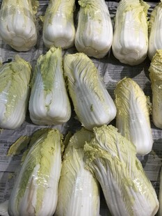 娃娃菜