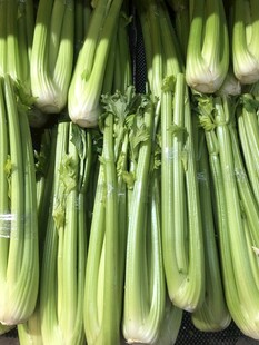 西芹 芹菜