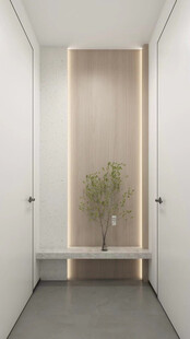 鞋柜玄关入户大门高级感全屋定制