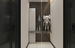 鞋柜玄关入户大门高级感全屋定制