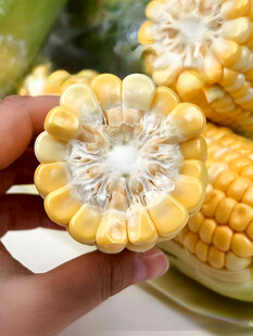 黄糯玉米