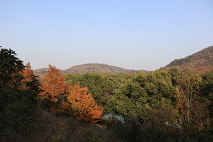 大山 
