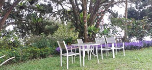 马来西亚槟城升旗山