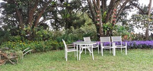 马来西亚槟城升旗山一角