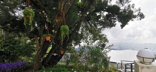 马来西亚槟城升旗山