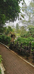 马来西亚槟城升旗山