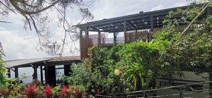 马来西亚槟城升旗山风光