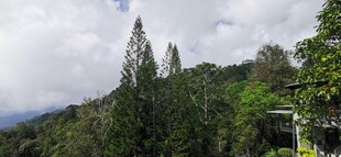 马来西亚槟城升旗山风光