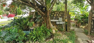 马来西亚槟城升旗山风光