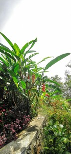 马来西亚槟城升旗山风光