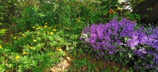 马来西亚槟城升旗山花圃